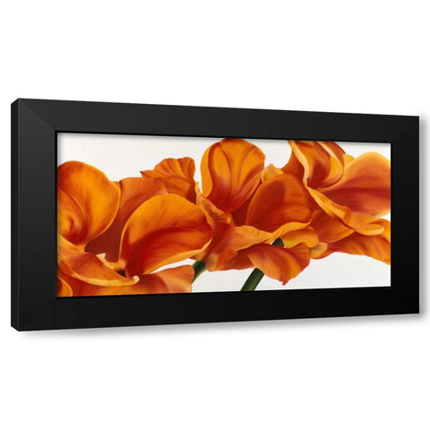 Fancy Flower II Black Modern Wood Framed Art Print by Poelstra-Holzhaus, Yvonne