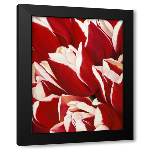 Red and White II Black Modern Wood Framed Art Print with Double Matting by Poelstra-Holzhaus, Yvonne