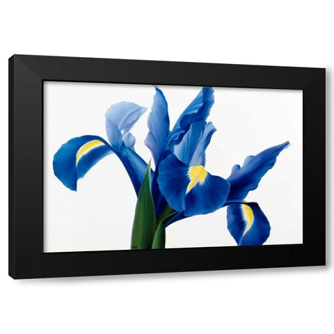 Purple floral II Black Modern Wood Framed Art Print with Double Matting by Poelstra-Holzhaus, Yvonne