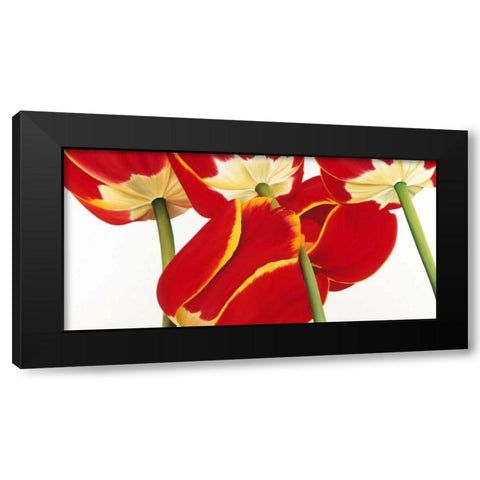 Dutch II Black Modern Wood Framed Art Print by Poelstra-Holzhaus, Yvonne