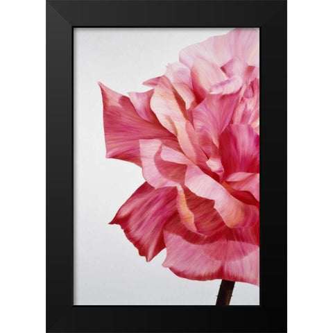 Pink Twin I Black Modern Wood Framed Art Print by Poelstra-Holzhaus, Yvonne