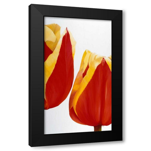 Stay there! Black Modern Wood Framed Art Print with Double Matting by Poelstra-Holzhaus, Yvonne