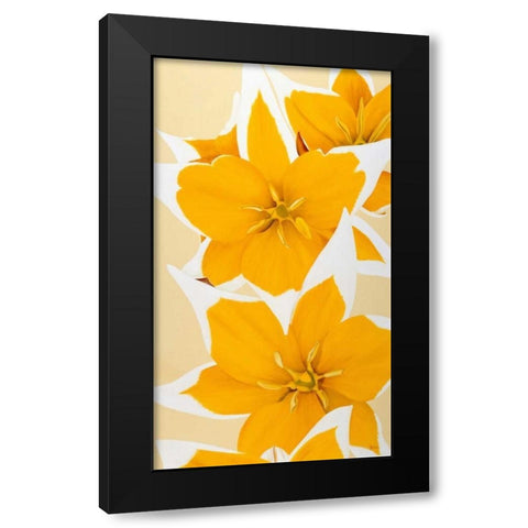 Yellow missy Black Modern Wood Framed Art Print by Poelstra-Holzhaus, Yvonne