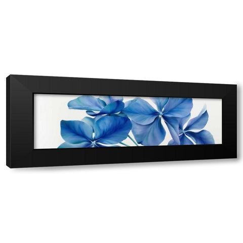 Shiny Bleu Black Modern Wood Framed Art Print with Double Matting by Poelstra-Holzhaus, Yvonne