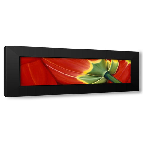 Sleeping well Black Modern Wood Framed Art Print with Double Matting by Poelstra-Holzhaus, Yvonne