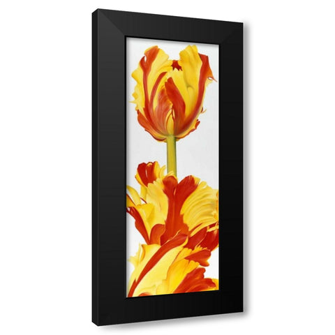 Taller then you! Black Modern Wood Framed Art Print with Double Matting by Poelstra-Holzhaus, Yvonne