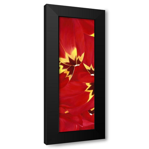 Red and Close to you Black Modern Wood Framed Art Print with Double Matting by Poelstra-Holzhaus, Yvonne