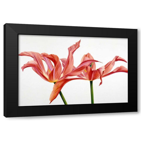 Dancing Floriade Black Modern Wood Framed Art Print with Double Matting by Poelstra-Holzhaus, Yvonne