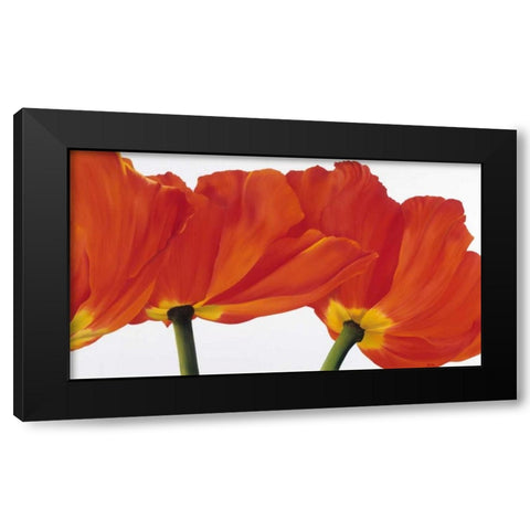 Spring dance Black Modern Wood Framed Art Print by Poelstra-Holzhaus, Yvonne