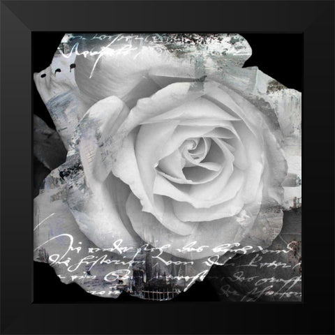 White Rose I Black Modern Wood Framed Art Print by Baker, Micha