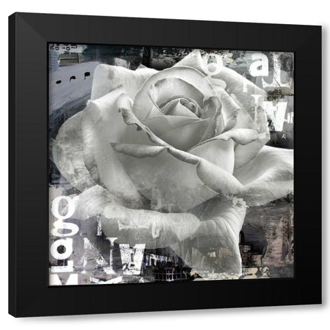 White Rose II Black Modern Wood Framed Art Print with Double Matting by Baker, Micha