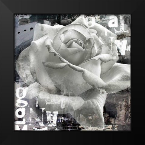 White Rose II Black Modern Wood Framed Art Print by Baker, Micha