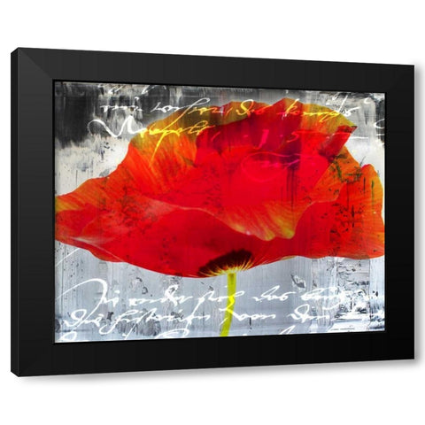 Poppy Story II Black Modern Wood Framed Art Print by Baker, Micha