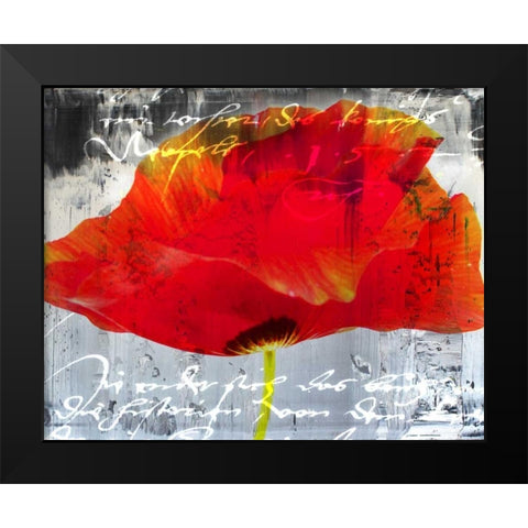 Poppy Story II Black Modern Wood Framed Art Print by Baker, Micha