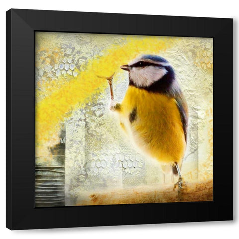 Birdy Black Modern Wood Framed Art Print by de Haas, Mascha