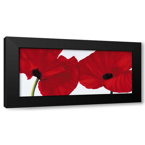 Red II - poppies Black Modern Wood Framed Art Print with Double Matting by Poelstra-Holzhaus, Yvonne