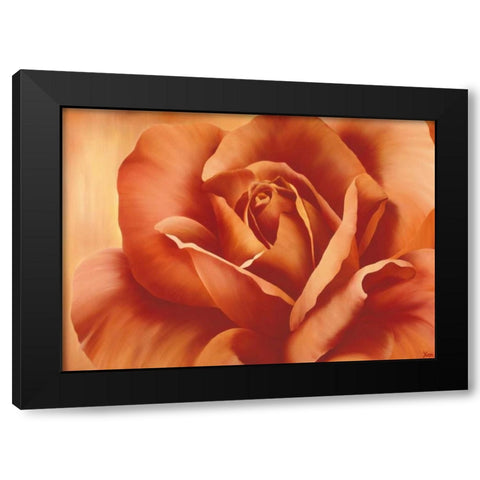 Full in bloom I Black Modern Wood Framed Art Print by Poelstra-Holzhaus, Yvonne
