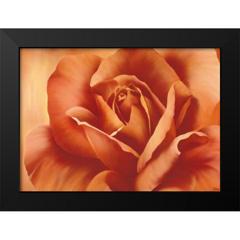 Full in bloom I Black Modern Wood Framed Art Print by Poelstra-Holzhaus, Yvonne