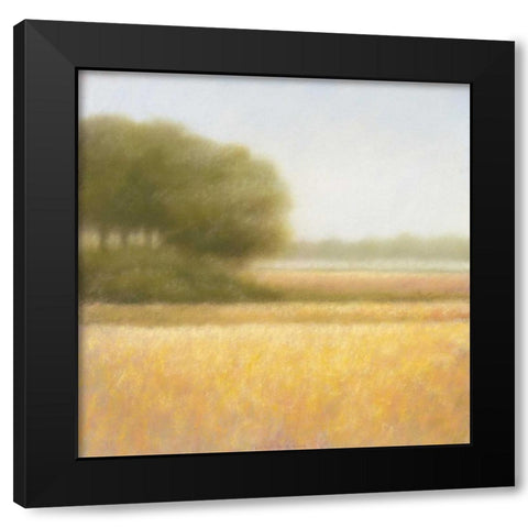Wheat field Black Modern Wood Framed Art Print with Double Matting by Dolieslager, Hans