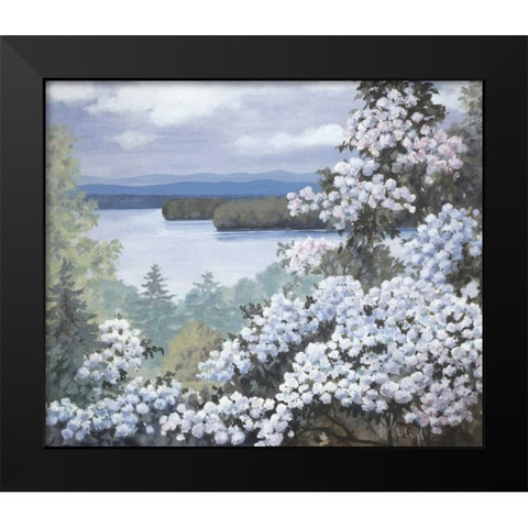 Water base I Black Modern Wood Framed Art Print by Heigl, Franz