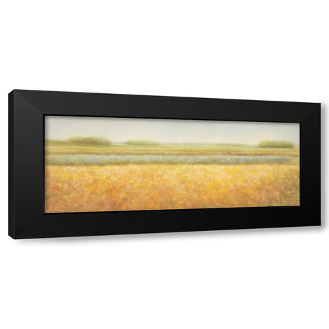 View Black Modern Wood Framed Art Print with Double Matting by Dolieslager, Hans