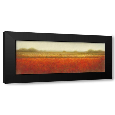 Field of poppies Black Modern Wood Framed Art Print by Dolieslager, Hans