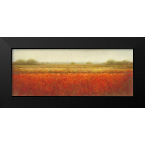 Field of poppies Black Modern Wood Framed Art Print by Dolieslager, Hans