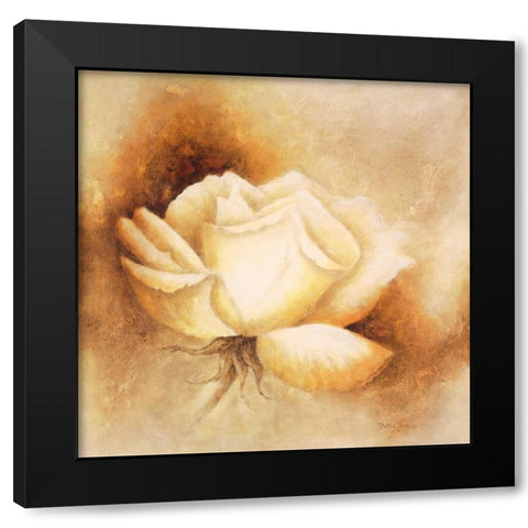 White rose I Black Modern Wood Framed Art Print by Jansma, Betty