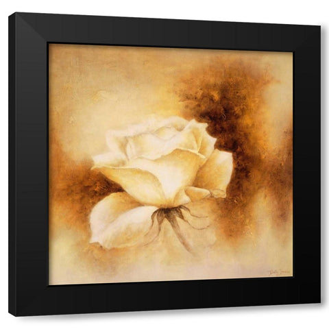 White Rose II Black Modern Wood Framed Art Print with Double Matting by Jansma, Betty