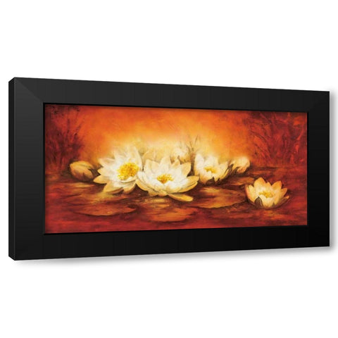 Water Lilies Black Modern Wood Framed Art Print with Double Matting by Jansma, Betty