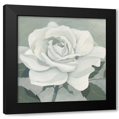 Rose One Black Modern Wood Framed Art Print by Heigl, Franz