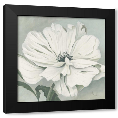 White poppy Black Modern Wood Framed Art Print with Double Matting by Heigl, Franz