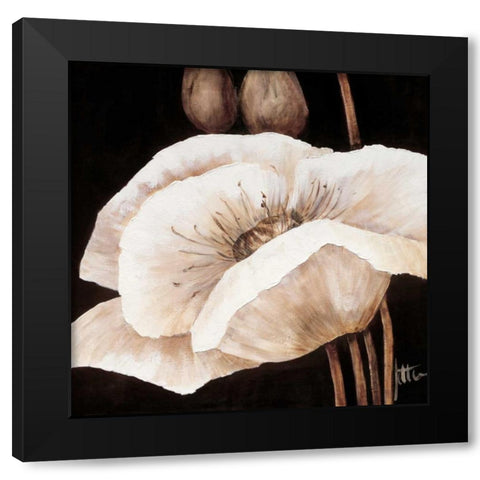Amazing poppies I Black Modern Wood Framed Art Print with Double Matting by Roseboom, Jettie