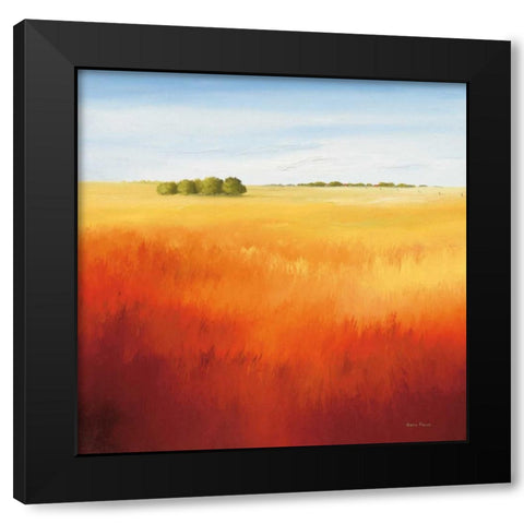 Red field II Black Modern Wood Framed Art Print by Paus, Hans