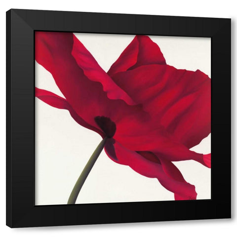 Papaver I Black Modern Wood Framed Art Print with Double Matting by Poelstra-Holzhaus, Yvonne