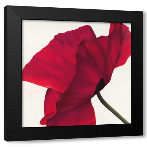 Papaver II Black Modern Wood Framed Art Print by Poelstra-Holzhaus, Yvonne