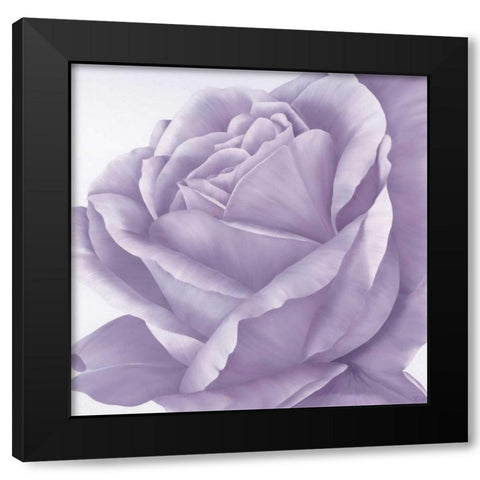 Magnificence II Black Modern Wood Framed Art Print with Double Matting by Poelstra-Holzhaus, Yvonne