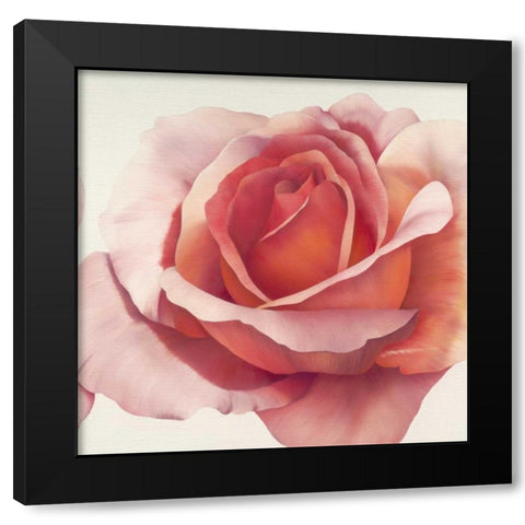 Magnificence III Black Modern Wood Framed Art Print by Poelstra-Holzhaus, Yvonne