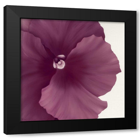 Violet Flower II Black Modern Wood Framed Art Print with Double Matting by Poelstra-Holzhaus, Yvonne