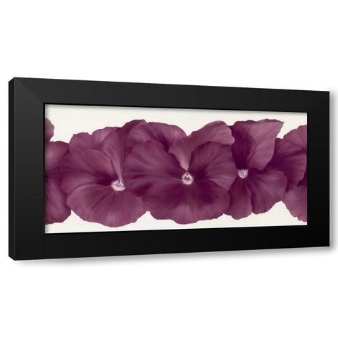 Violet Flower III Black Modern Wood Framed Art Print by Poelstra-Holzhaus, Yvonne