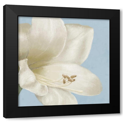 White amaryllis I Black Modern Wood Framed Art Print by Linda, Wood