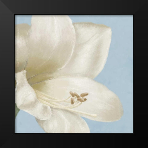 White amaryllis I Black Modern Wood Framed Art Print by Linda, Wood
