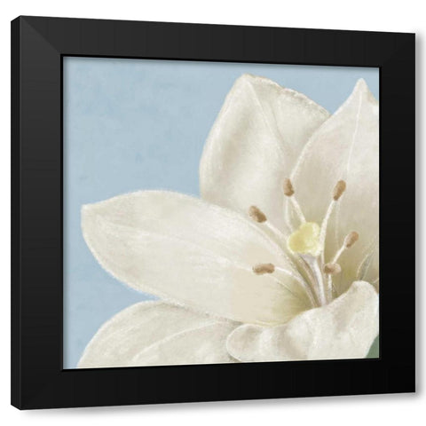 White amaryllis II Black Modern Wood Framed Art Print with Double Matting by Linda, Wood