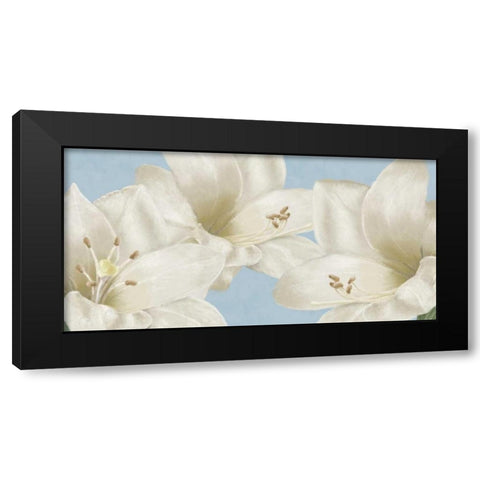 White Amaryllis III Black Modern Wood Framed Art Print by Linda, Wood