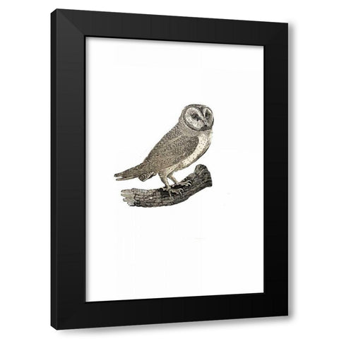 Oehoe Black Modern Wood Framed Art Print with Double Matting by Waltz, Anne