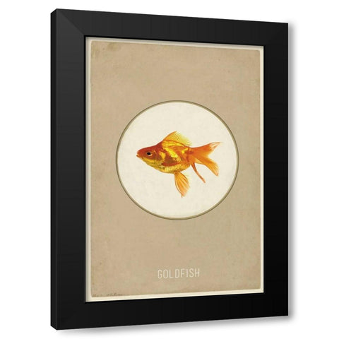 Goldfish Black Modern Wood Framed Art Print with Double Matting by Waltz, Anne