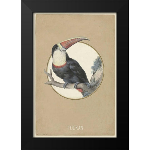 Toekan Black Modern Wood Framed Art Print by Waltz, Anne