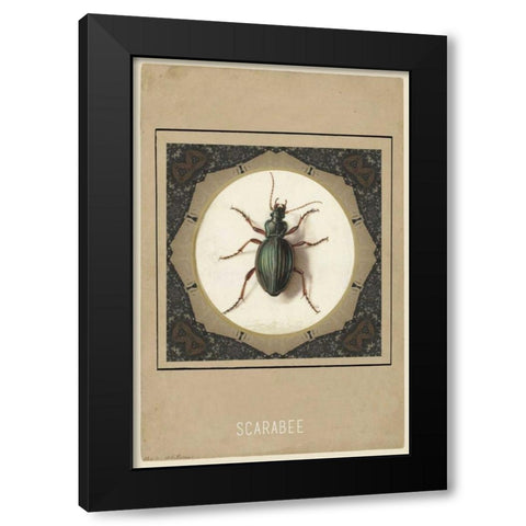Scarabee Black Modern Wood Framed Art Print with Double Matting by Waltz, Anne