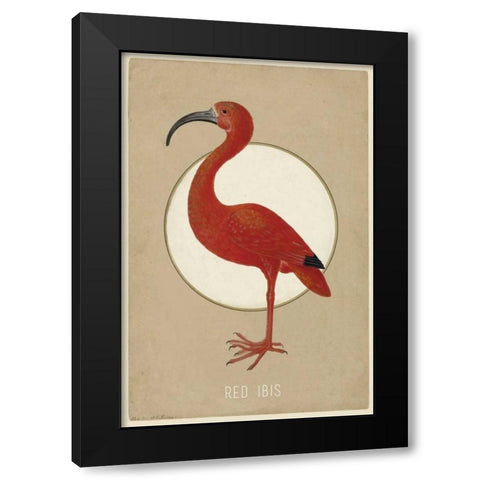 Red Ibis Black Modern Wood Framed Art Print by Waltz, Anne