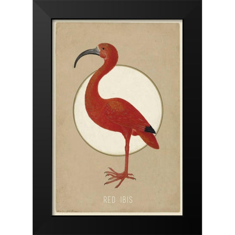 Red Ibis Black Modern Wood Framed Art Print by Waltz, Anne